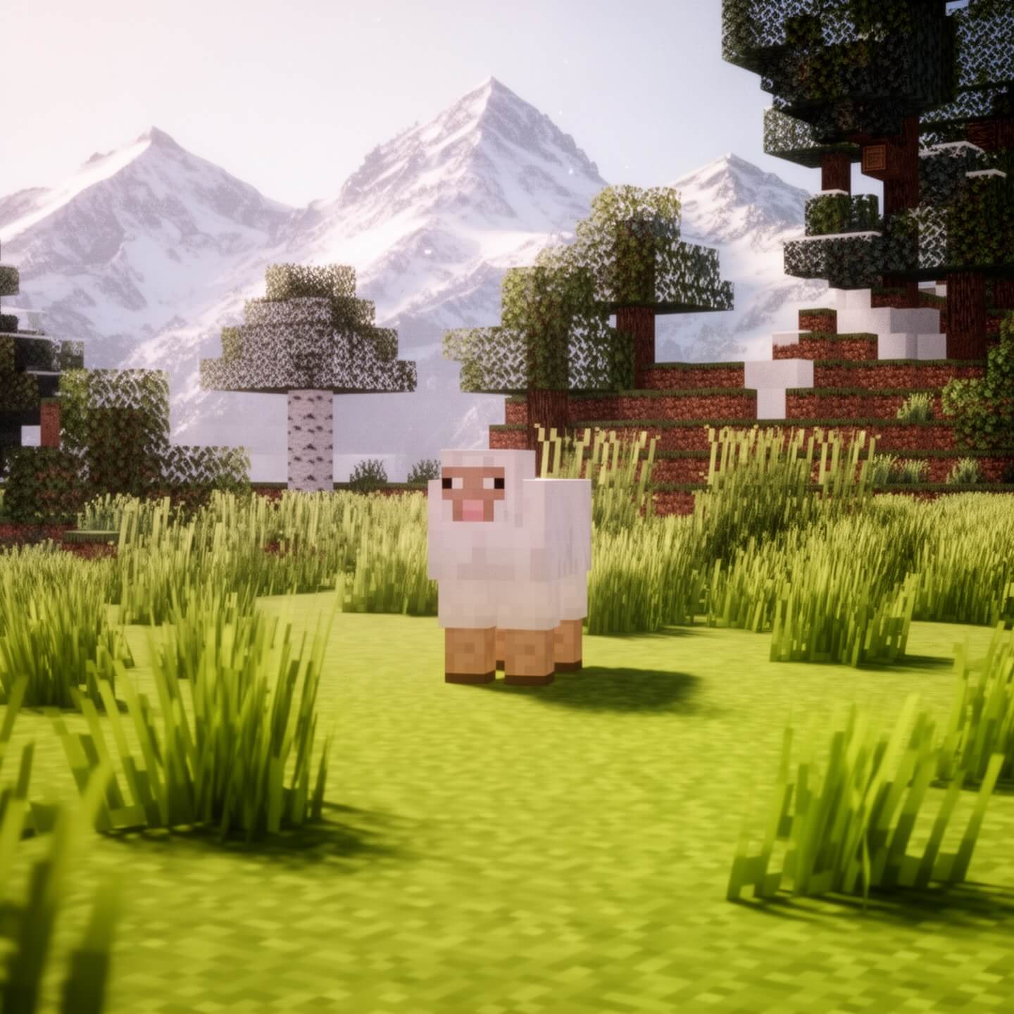 3'lü Koyun Spawner Paketi